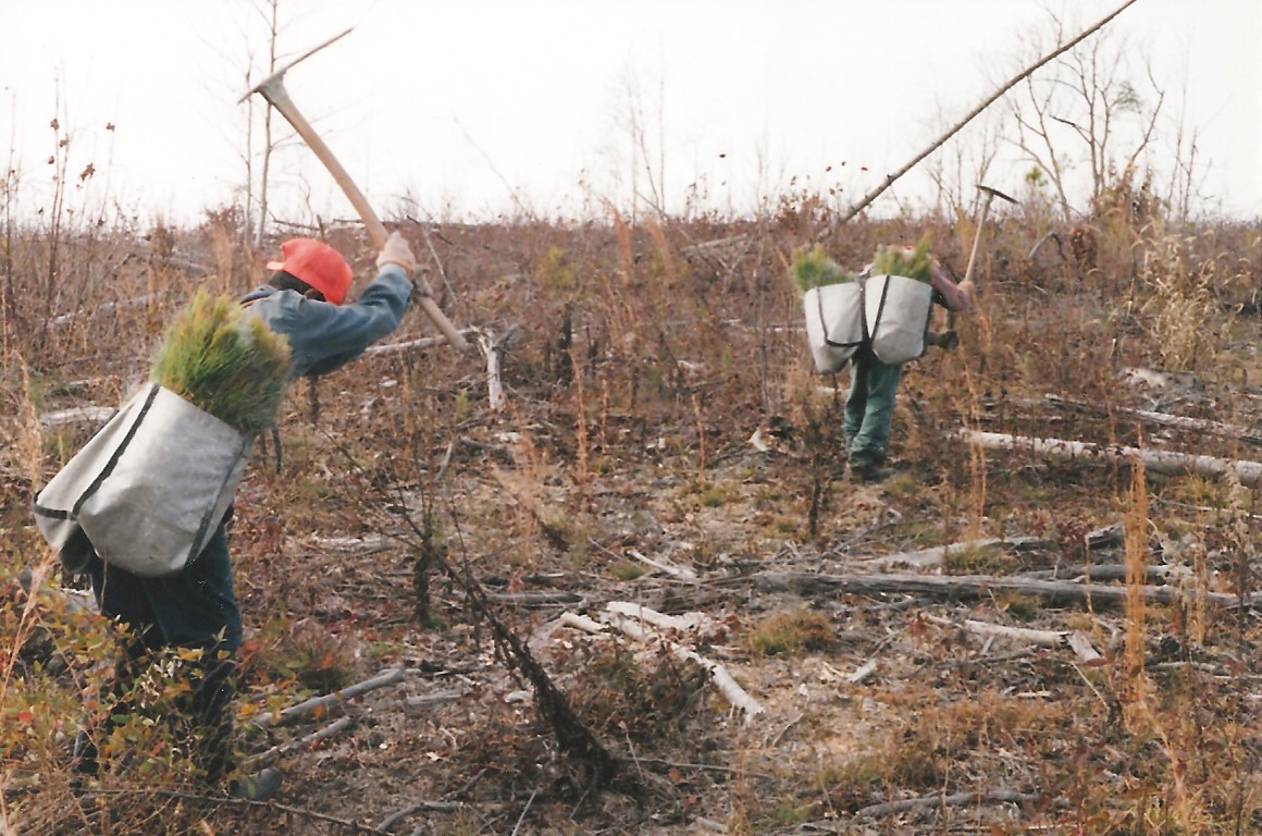 Foresters Nc Registered Foresters